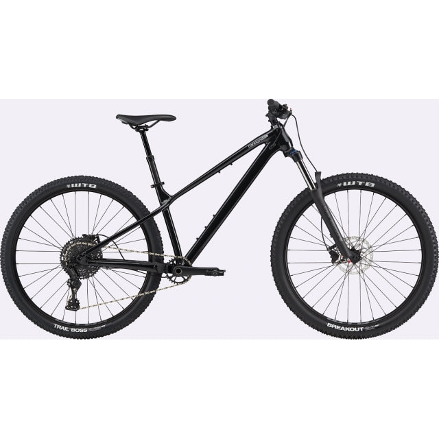29 U Habit HT 3