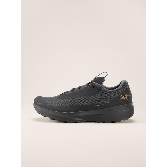 Norvan LD 4 GTX Shoe Men's