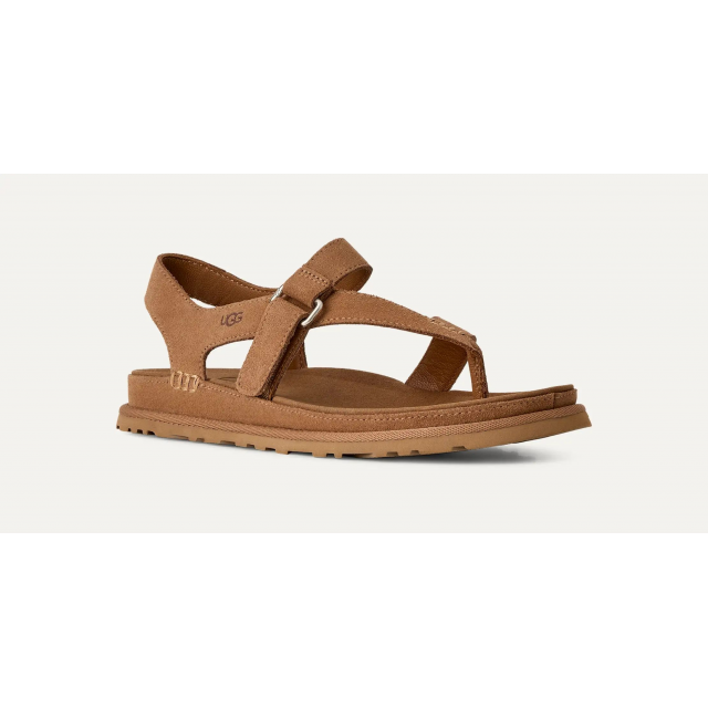 Women's Goldengaze Toe Post