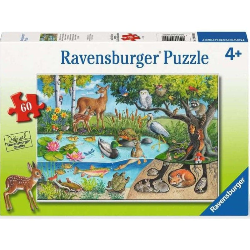 ANIMALS ABOVE AND BELOW 60 PC