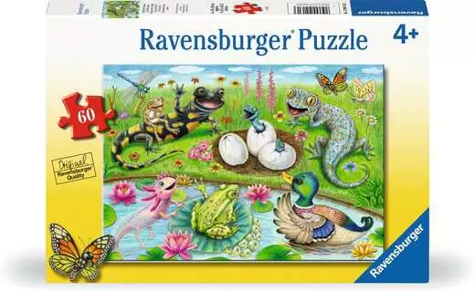 Toys for Kids of All Ages!
