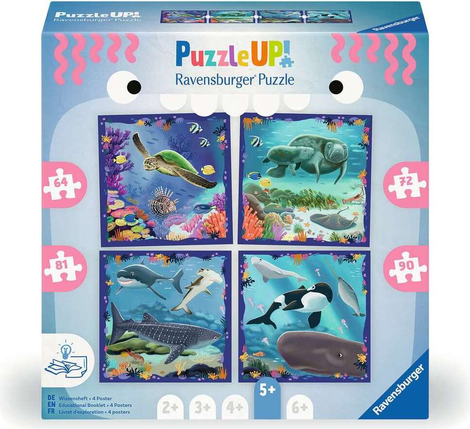 Toys for Kids of All Ages!