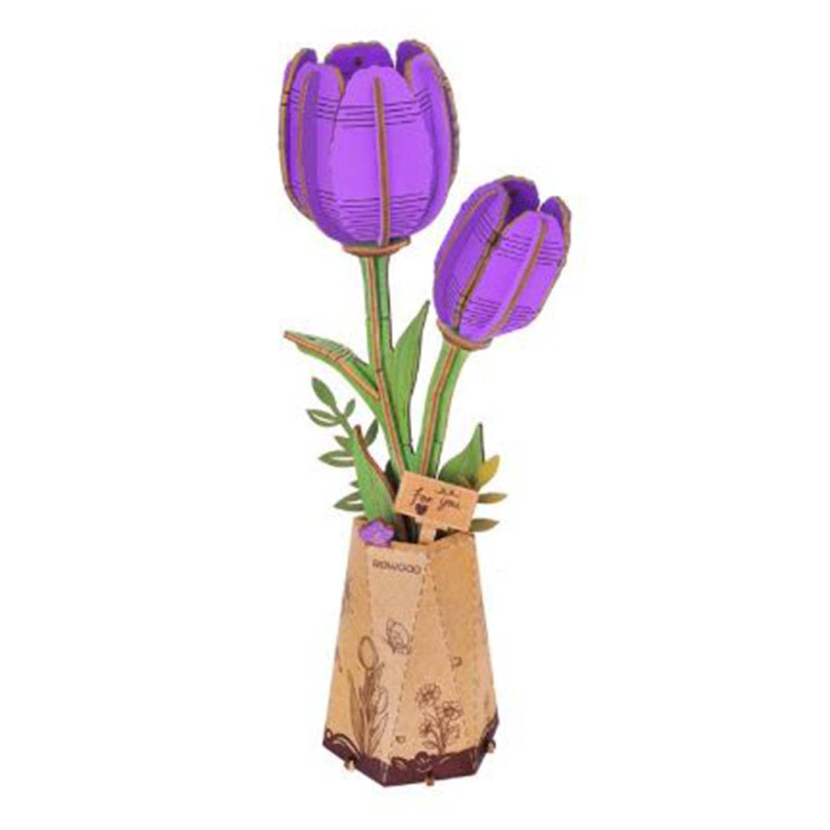 Purple Tulip
