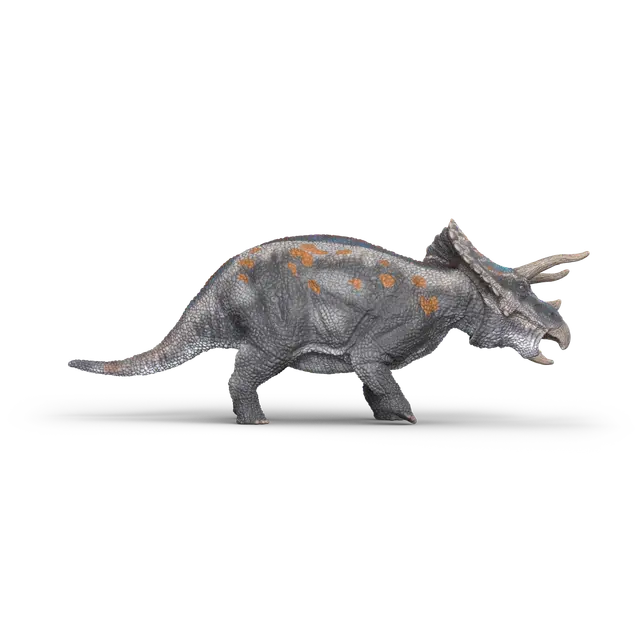 Triceratops