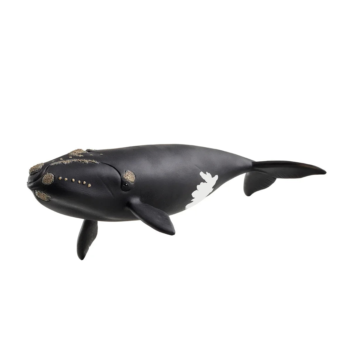 North Atlantic Right Whale Figurine